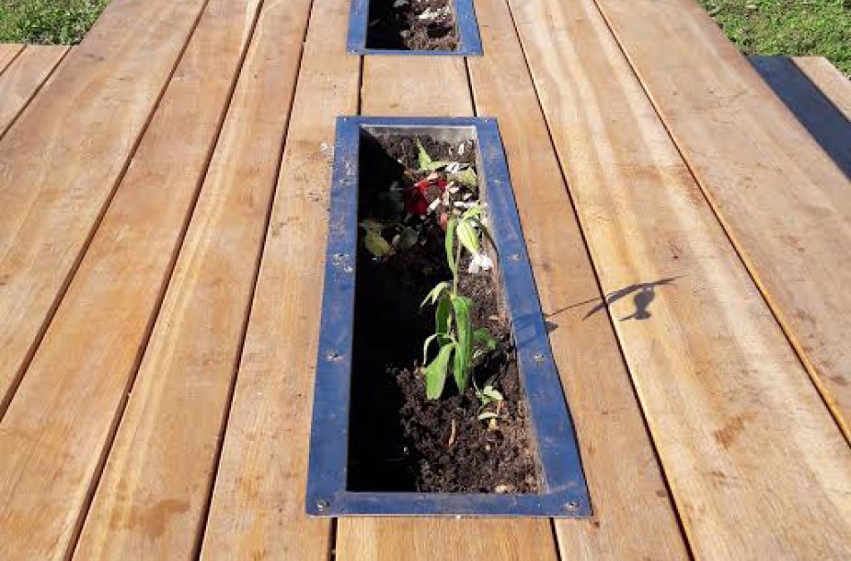 Akibrokštas: poilsiavietėje prie lauko kepsninių pavogė gėles