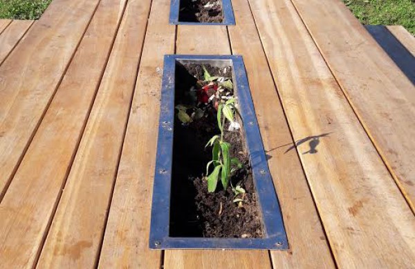 Akibrokštas: poilsiavietėje prie lauko kepsninių pavogė gėles