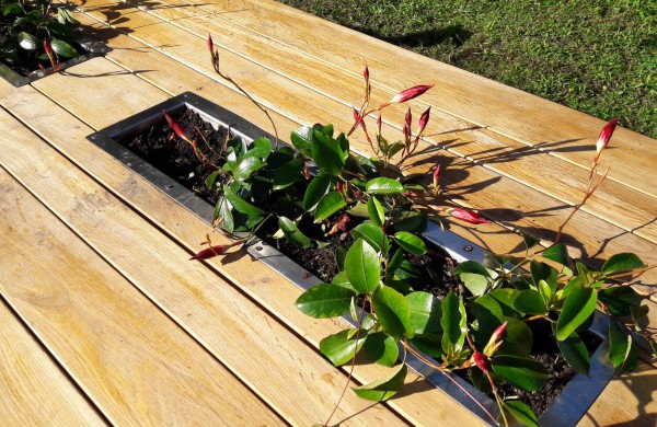 Akibrokštas: poilsiavietėje prie lauko kepsninių pavogė gėles