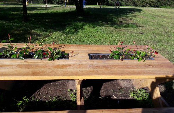 Akibrokštas: poilsiavietėje prie lauko kepsninių pavogė gėles