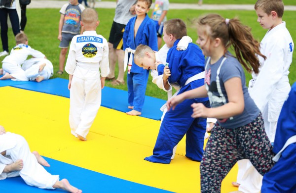 Joninių slėnyje – vaikų ir tėvų susibūrimas