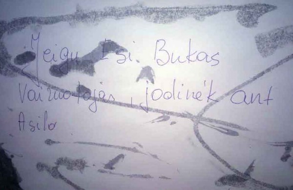 Pamokė vairuotoją – stipriais klijais ant automobilio lango užklijavo raštelį