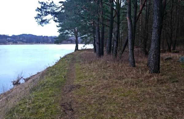 Žygyje „Nemuno kilpomis“ bus siekiamas ėjimo atbulomis rekordas