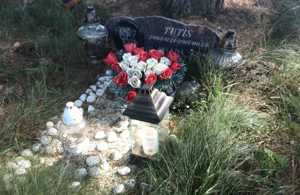 Greitu laiku paaiškės, ar Jonavoje bus legalios gyvūnų kapinės