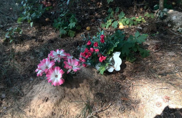 Greitu laiku paaiškės, ar Jonavoje bus legalios gyvūnų kapinės