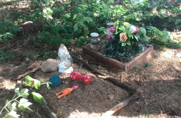 Greitu laiku paaiškės, ar Jonavoje bus legalios gyvūnų kapinės