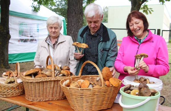 Ruklos „Grybų šventė - 2016“