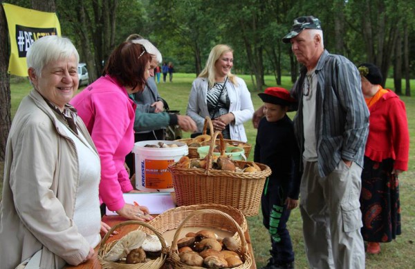 Ruklos „Grybų šventė - 2016“