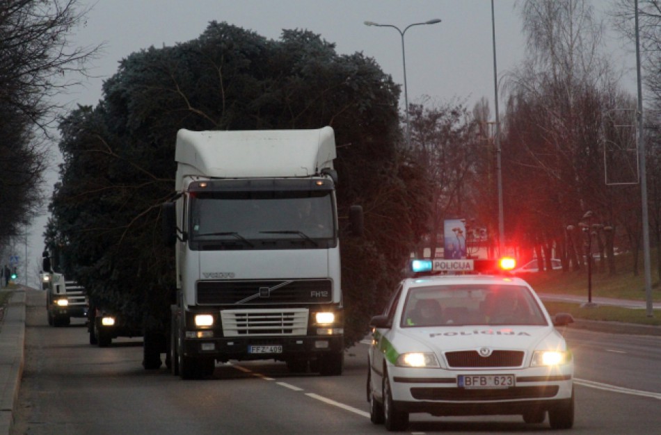 Pradėjo ruoštis Kalėdoms – mieste bus dvi eglės, viena – dirbtinė