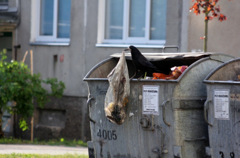 Viešosios tvarkos pažeidėjams – įspėjimai ir baudos