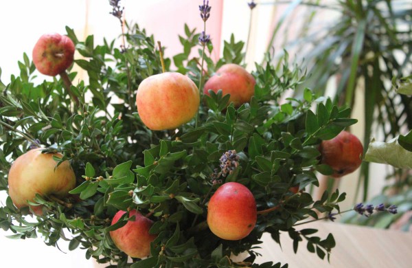 Jonavos globos namuose – rudens šventė