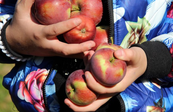 Jonavos globos namuose – rudens šventė