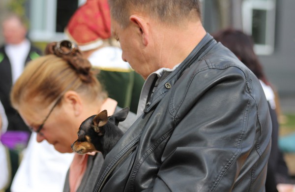 Jonavoje nuaidėjo tradicinė rudens šventė