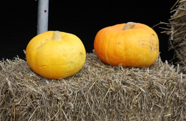 Jonavoje nuaidėjo tradicinė rudens šventė