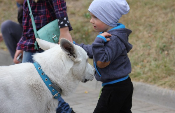 Jonavoje nuaidėjo tradicinė rudens šventė