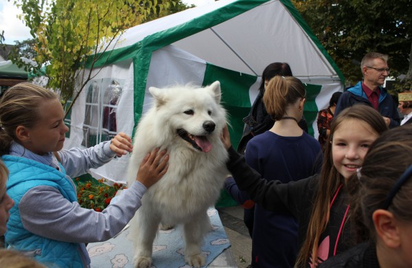 Jonavoje nuaidėjo tradicinė rudens šventė