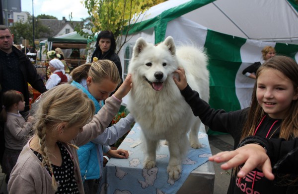 Jonavoje nuaidėjo tradicinė rudens šventė