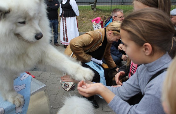Jonavoje nuaidėjo tradicinė rudens šventė