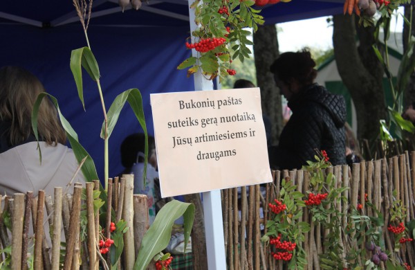 Jonavoje nuaidėjo tradicinė rudens šventė