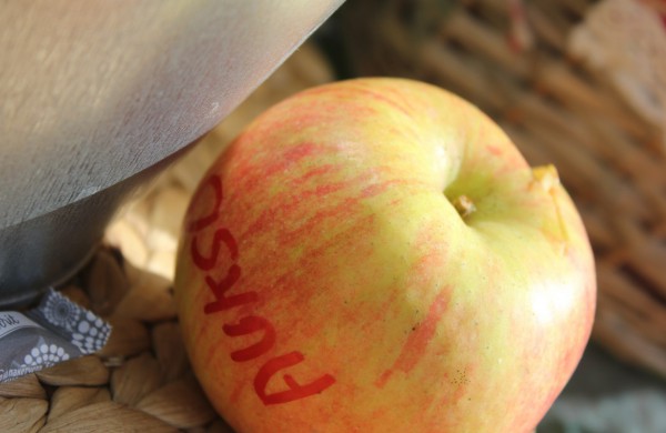 Jonavoje nuaidėjo tradicinė rudens šventė