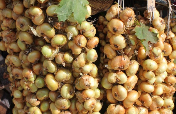 Jonavoje nuaidėjo tradicinė rudens šventė