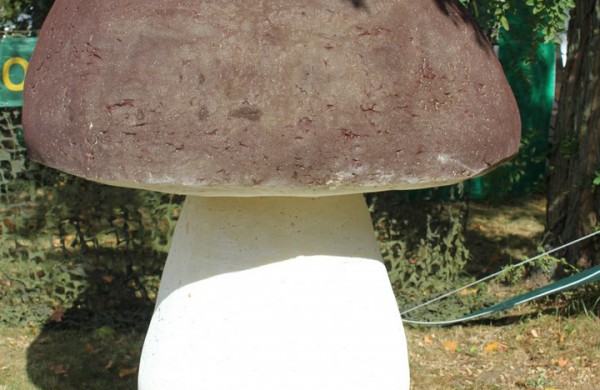 Jonavoje nuaidėjo tradicinė rudens šventė