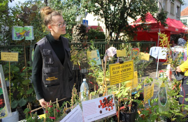 Jonavoje nuaidėjo tradicinė rudens šventė