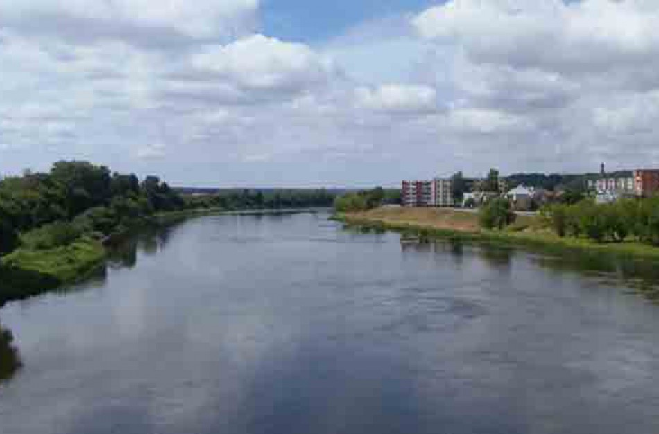 Į Neries upę Jonavoje bus įleista 6 tūkst. žuvų