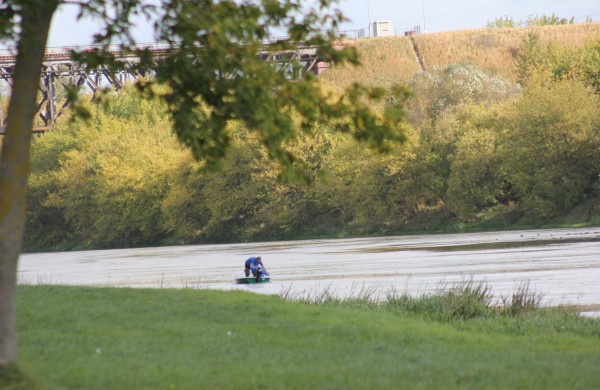 Į Neries upę įleista 6 tūkst. žuvų jauniklių