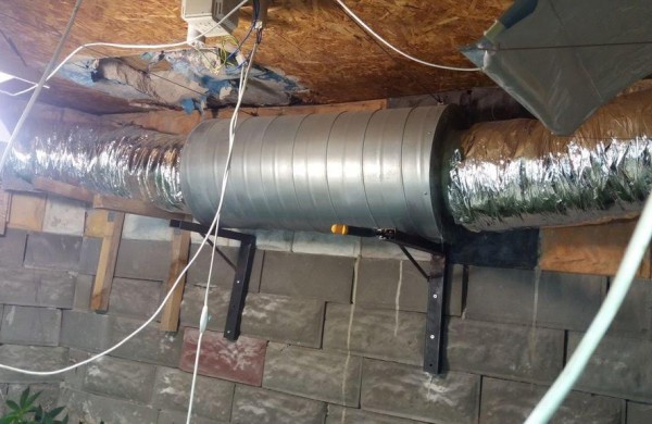 Jonavos rajone kriminalistai rado užmaskuotas dvi kanapių auginimo laboratorijas