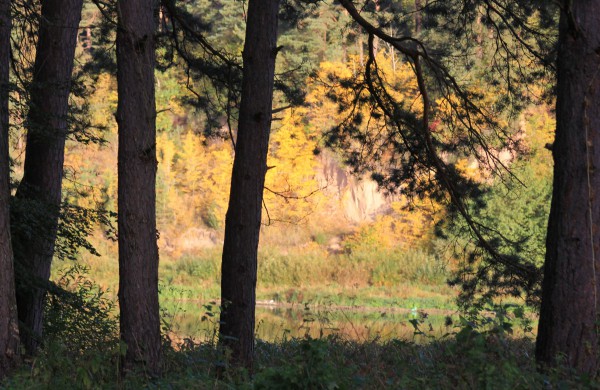 Pėsčiųjų žygyje - dvigubas rekordas: kilometrai atbulomis ir nuospaudų skaičius