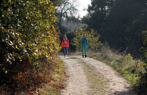 Pėsčiųjų žygyje - dvigubas rekordas: kilometrai atbulomis ir nuospaudų skaičius