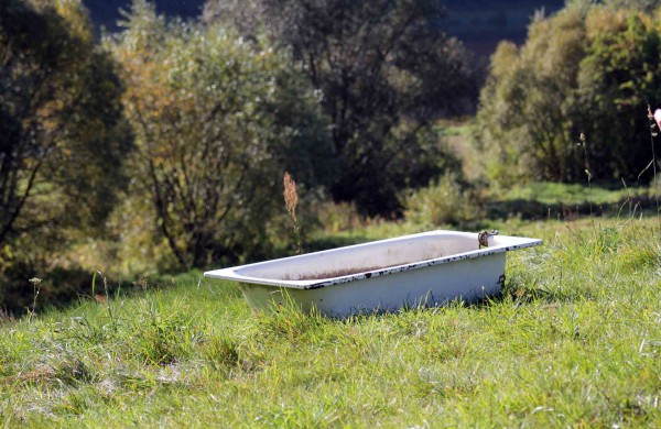 Pėsčiųjų žygyje - dvigubas rekordas: kilometrai atbulomis ir nuospaudų skaičius