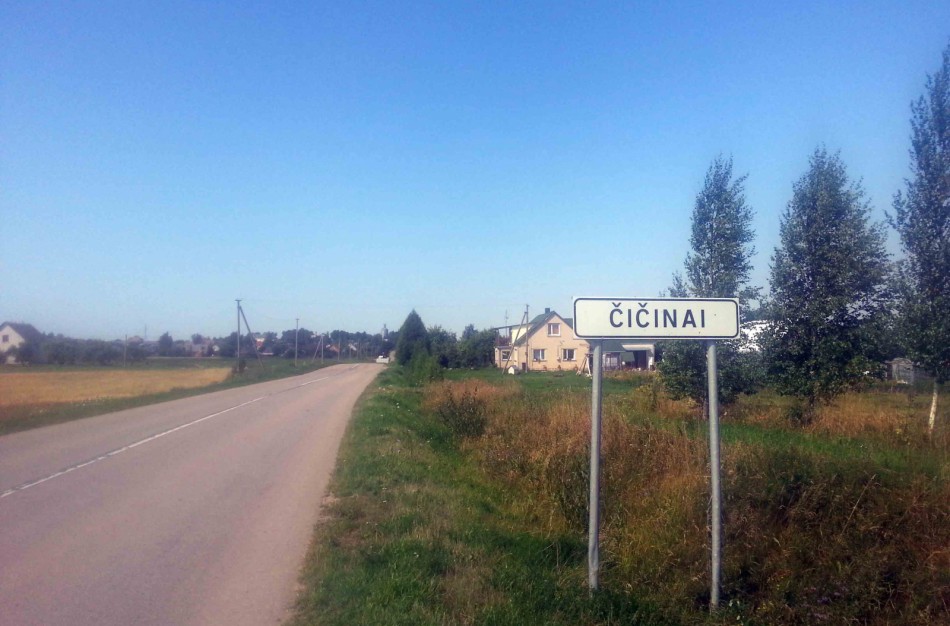 Jonavos rajone dėl afrikinio kiaulių maro skelbiama ekstremali situacija