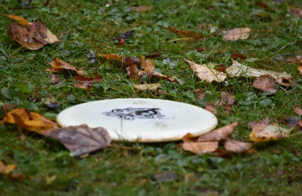 Rudeninė diskgolfininkų sueiga Survilų sodyboje