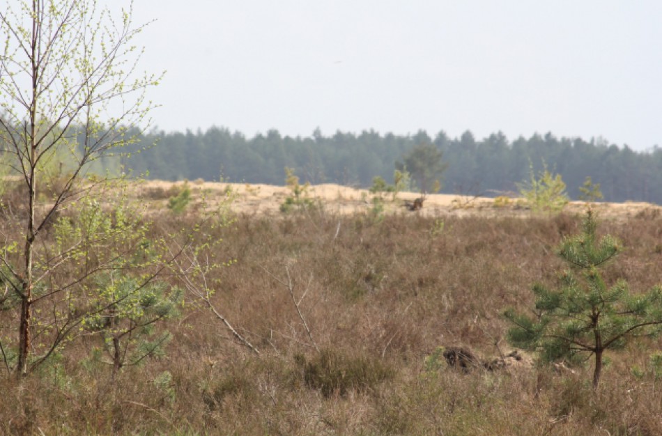 Kviečia į dviejų dienų kelionę po Gaižiūnų poligoną