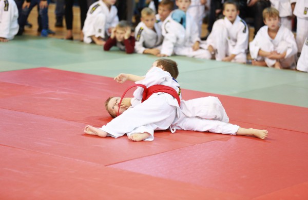 Tarptautinėse dziudo varžybose apdovanoti ir Jonavos vaikai