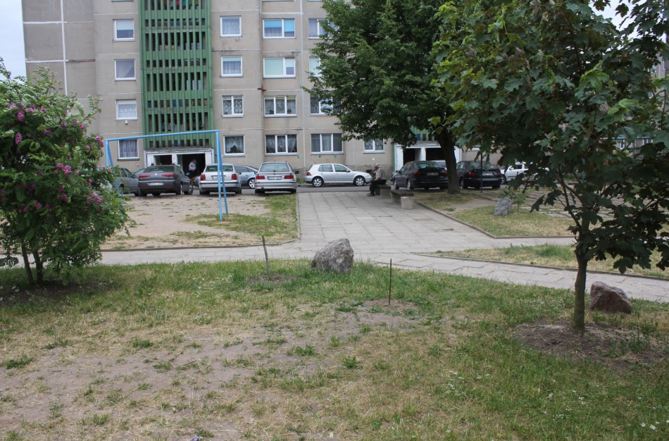 Chemikų gatvės gyventojai: “Nupjausim medžius”