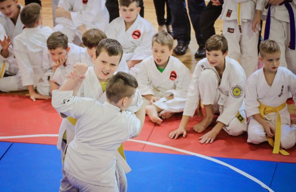 Vaikai varžėsi karate turnyre