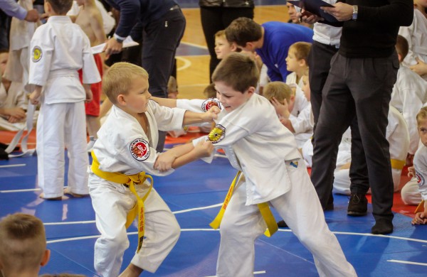 Vaikai varžėsi karate turnyre