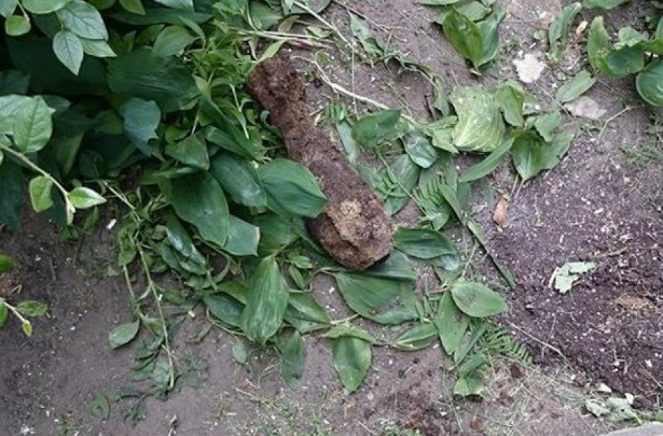 Prie renovuojamo namo – mina