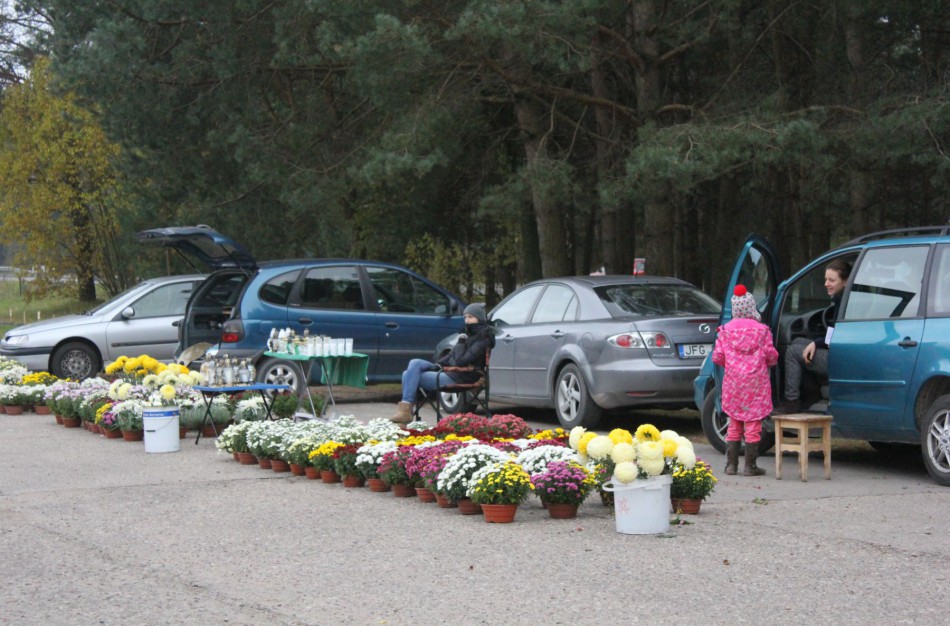 Ar dera prie kapinių prekiauti saldžiais užkandžiais?