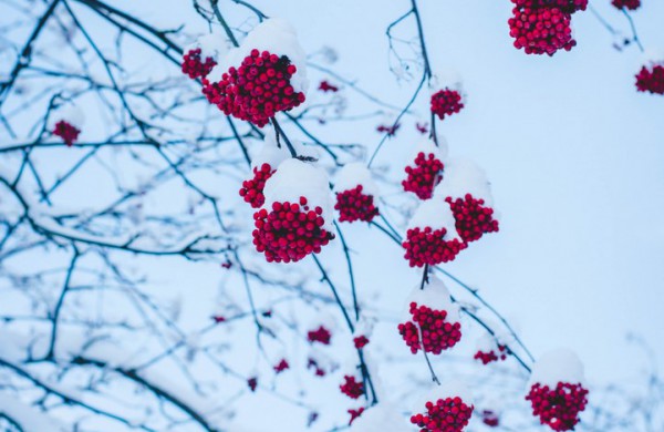 Savaitės orai: permainingi, tačiau žiema džiugins dar ne vieną dieną