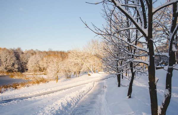Savaitės orai: permainingi, tačiau žiema džiugins dar ne vieną dieną