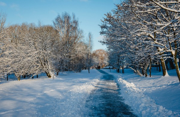 Savaitės orai: permainingi, tačiau žiema džiugins dar ne vieną dieną
