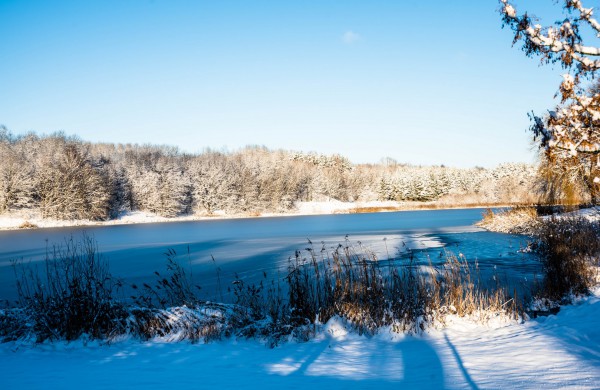 Savaitės orai: permainingi, tačiau žiema džiugins dar ne vieną dieną