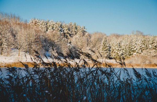 Savaitės orai: permainingi, tačiau žiema džiugins dar ne vieną dieną