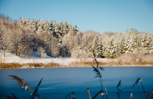 Savaitės orai: permainingi, tačiau žiema džiugins dar ne vieną dieną