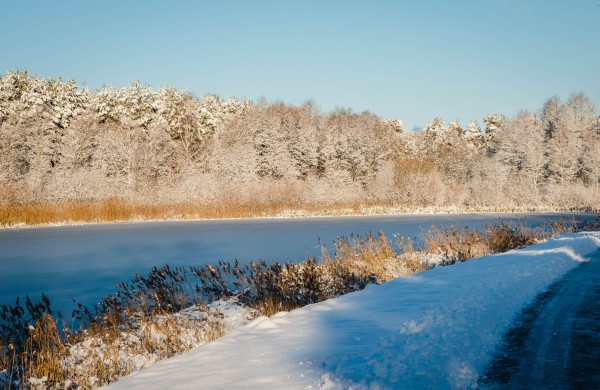 Savaitės orai: permainingi, tačiau žiema džiugins dar ne vieną dieną
