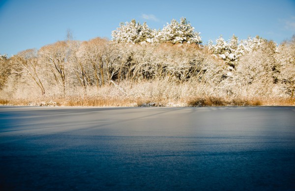 Savaitės orai: permainingi, tačiau žiema džiugins dar ne vieną dieną